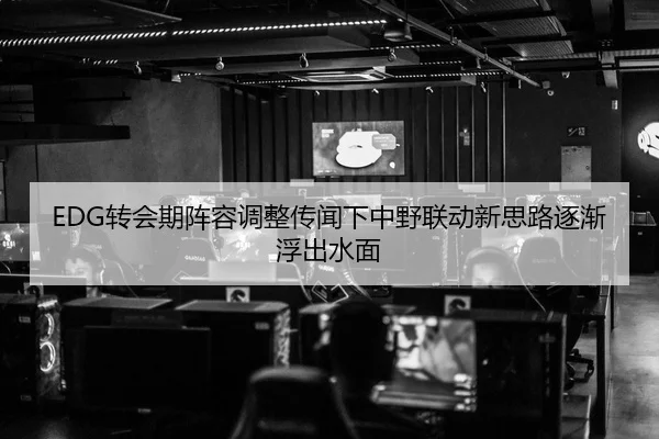 EDG转会期阵容调整传闻下中野联动新思路逐渐浮出水面